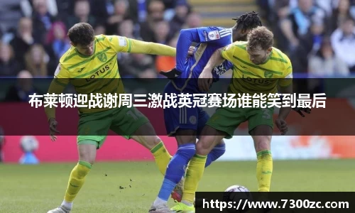 布莱顿迎战谢周三激战英冠赛场谁能笑到最后